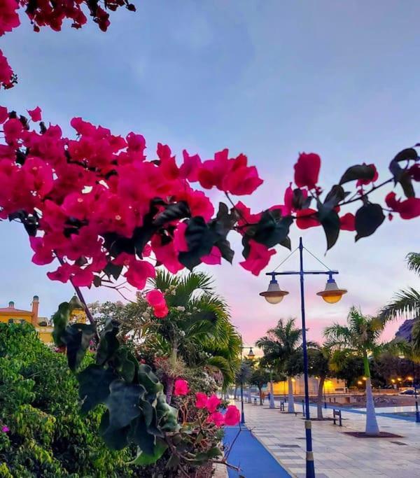 Vv Velero Apartment Puerto De Mogan Ngoại thất bức ảnh